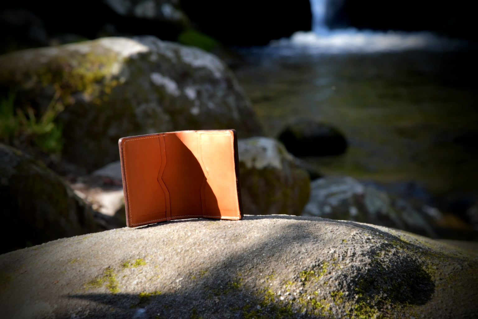 Currency Wallet