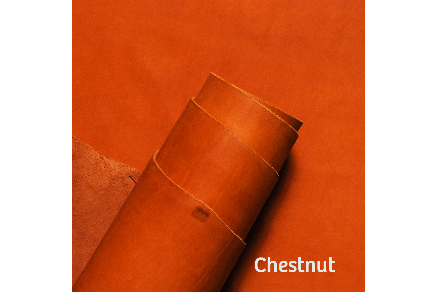 #color_chestnut