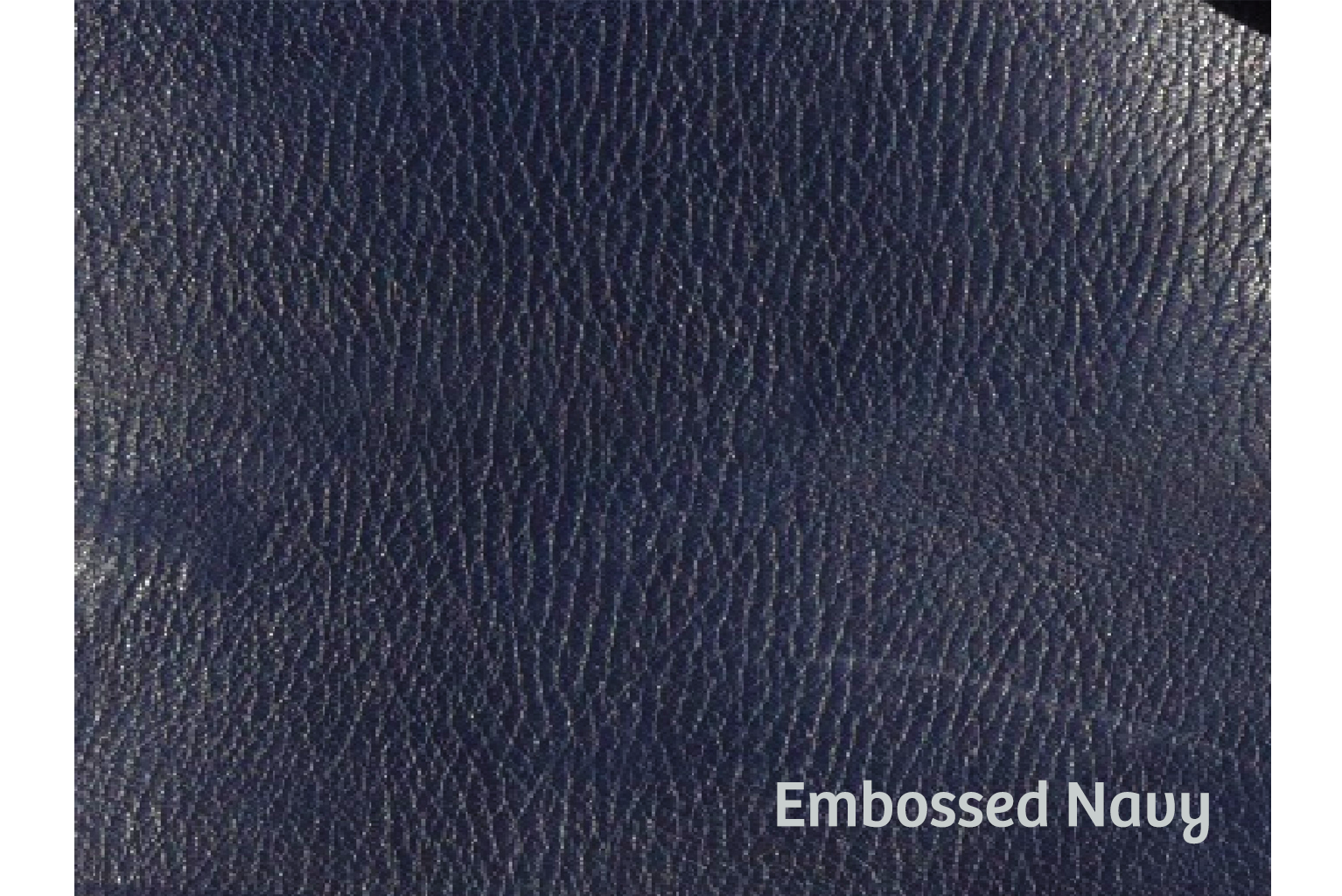 #color_embossed navy