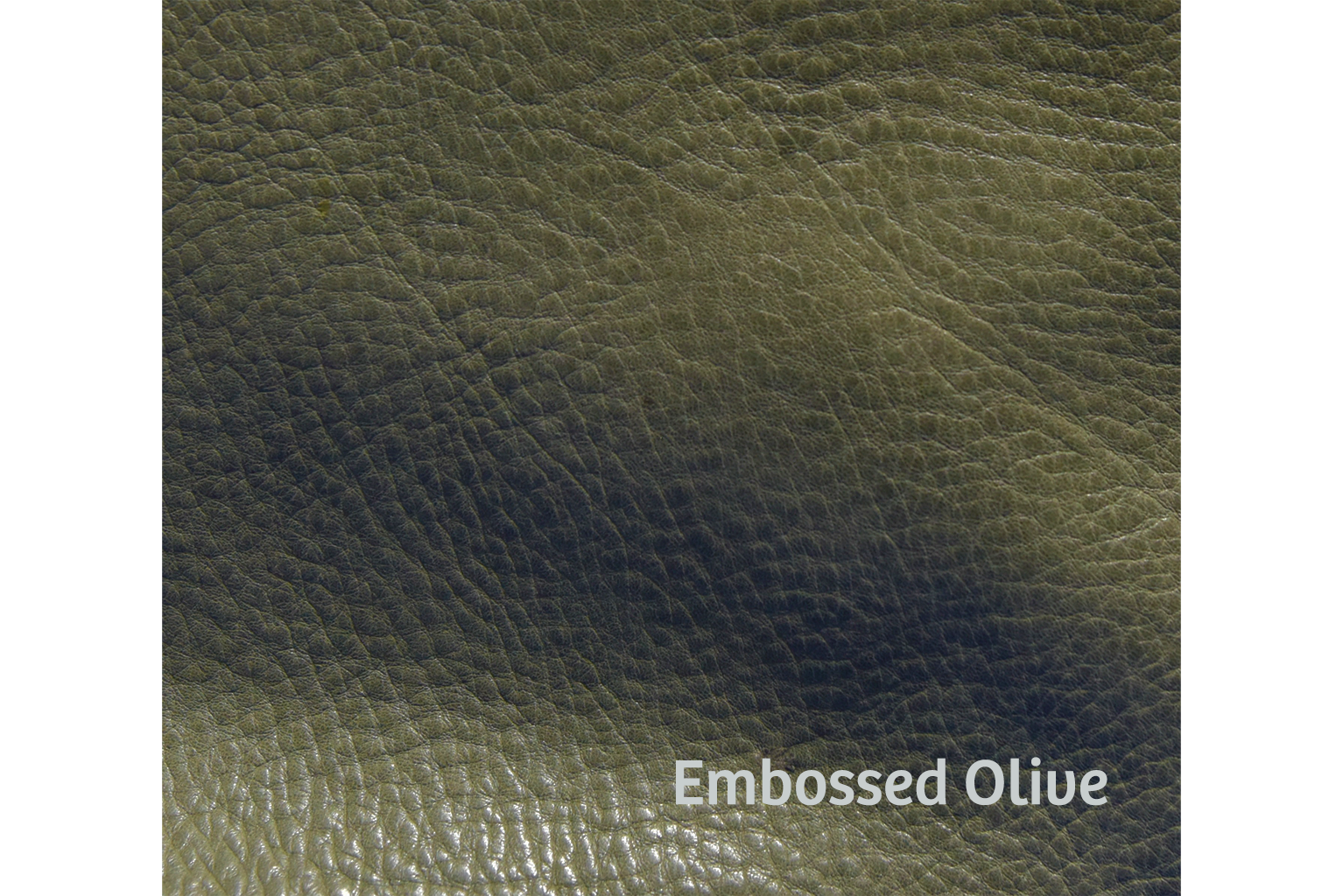 #color_Embossed olive