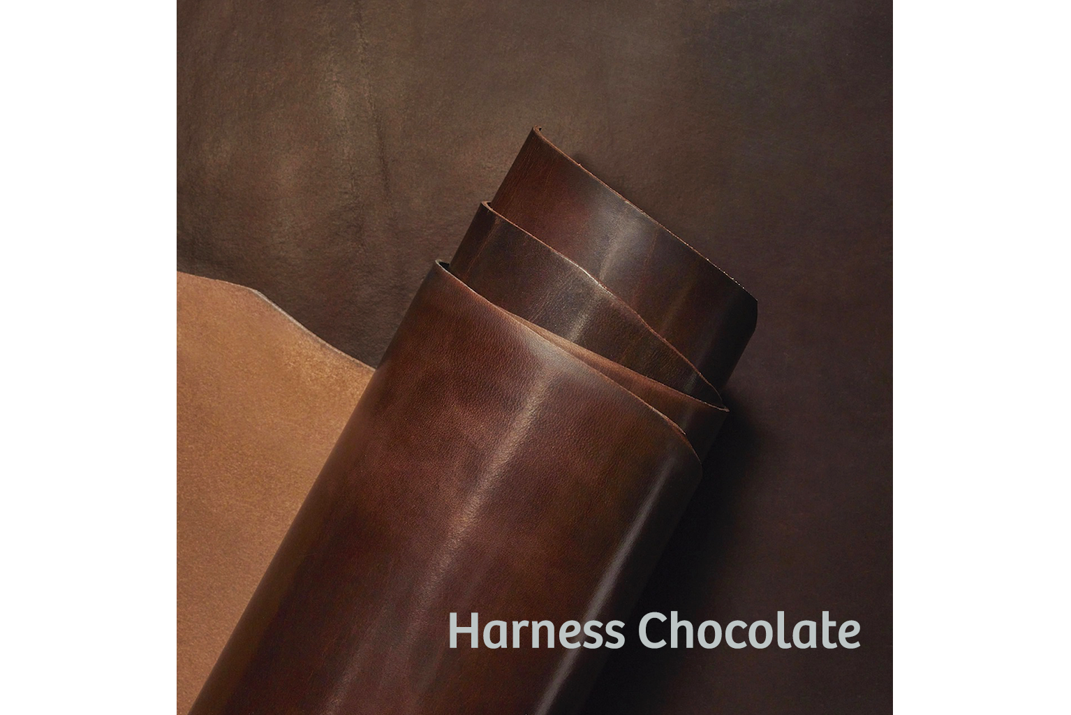 #color_harness chocolate