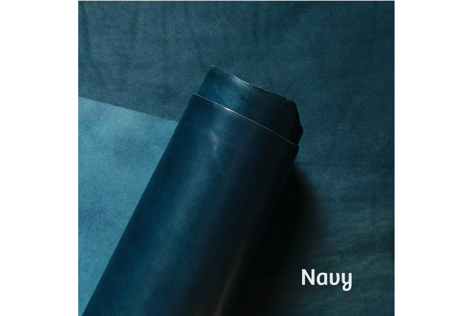 #color_navy