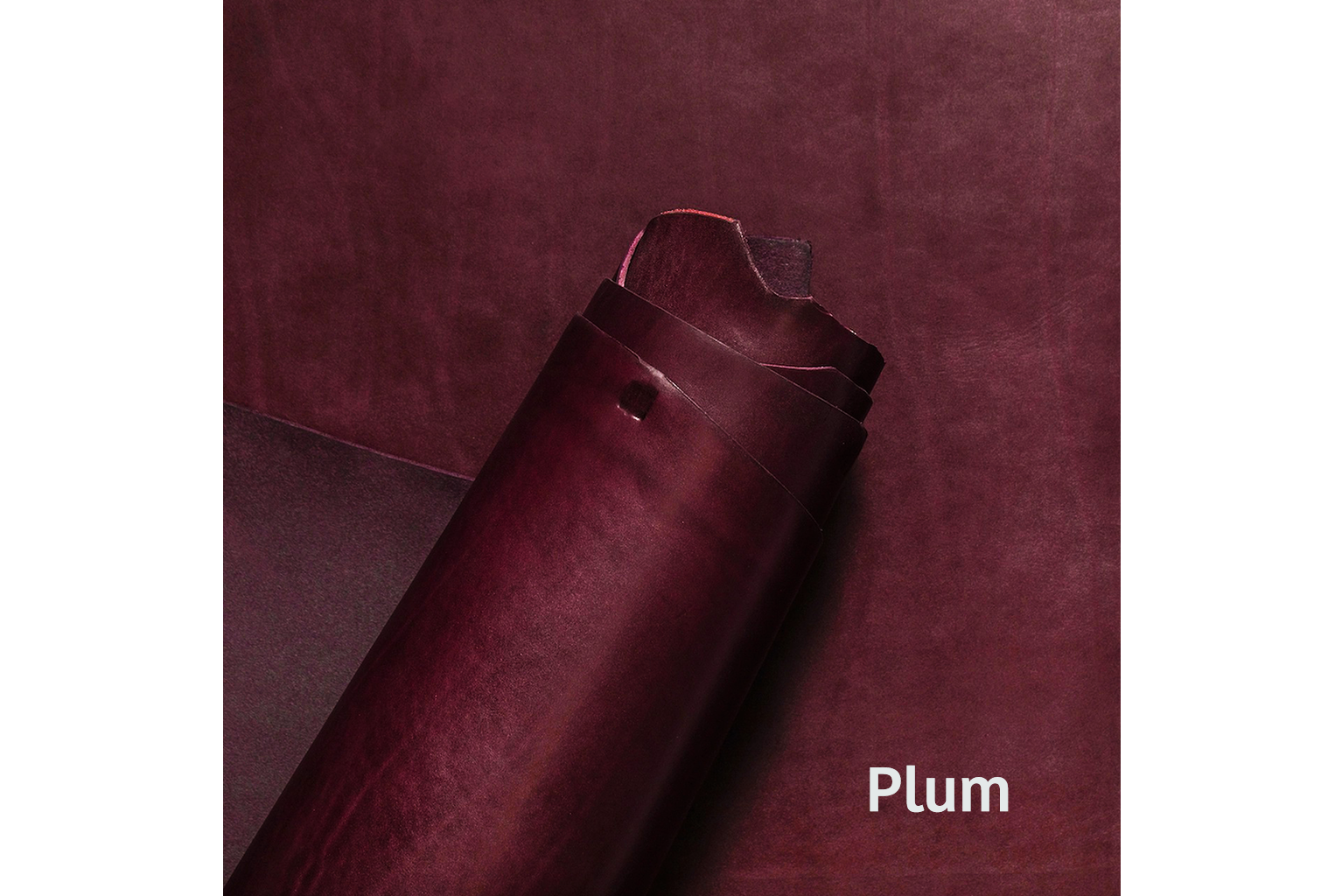 #color_plum