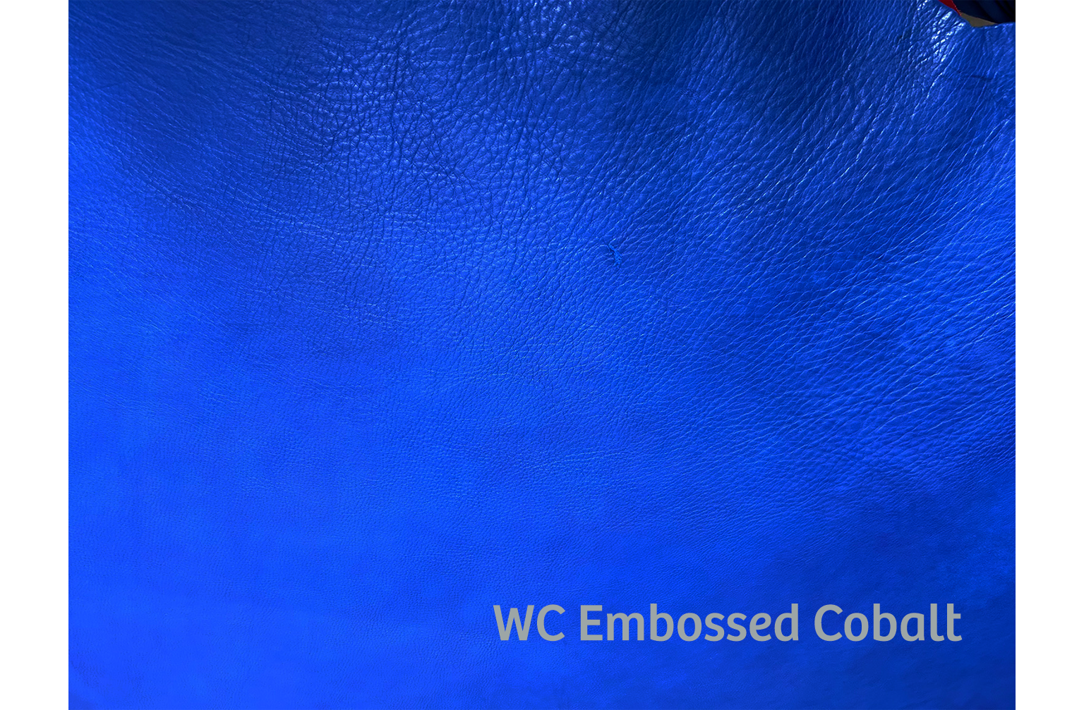 #color_WCEmbossed Cobalt